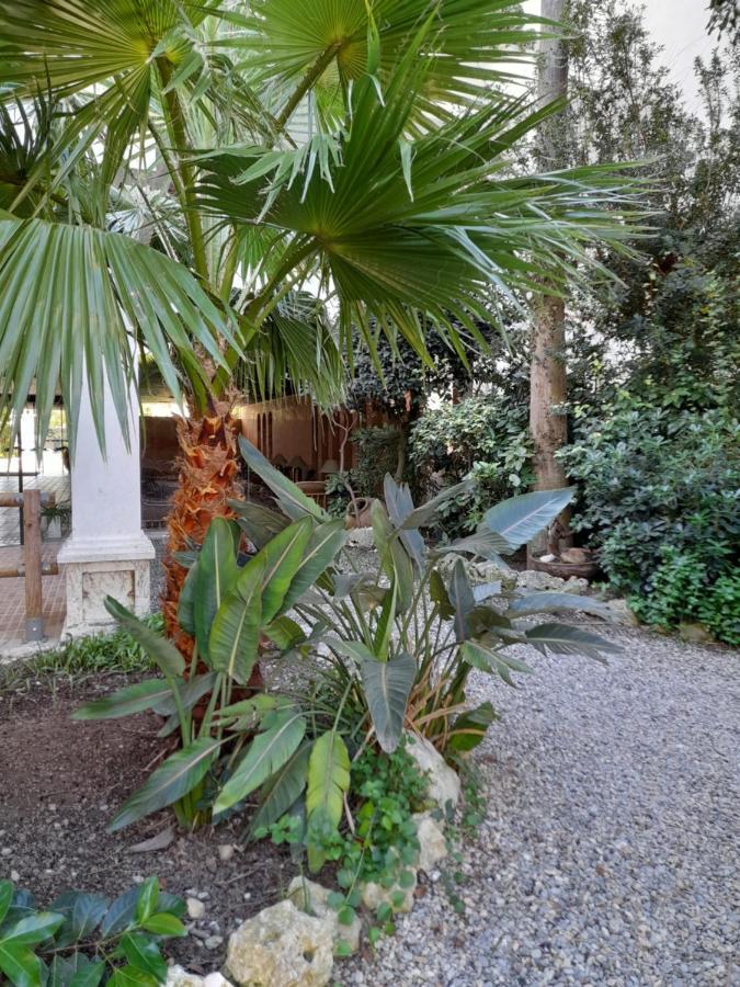 Royal Marine Playa Calme Et Cosy Rosas