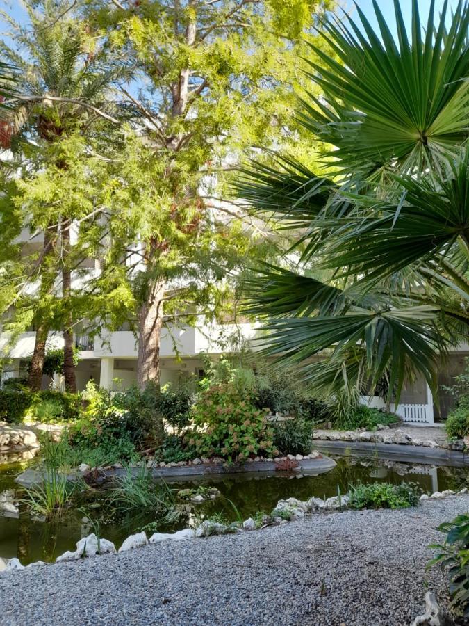 Apartamento Royal Marine Playa Calme Et Cosy